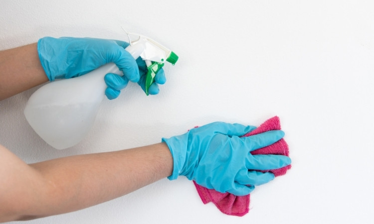 How to Clean Painted Walls
