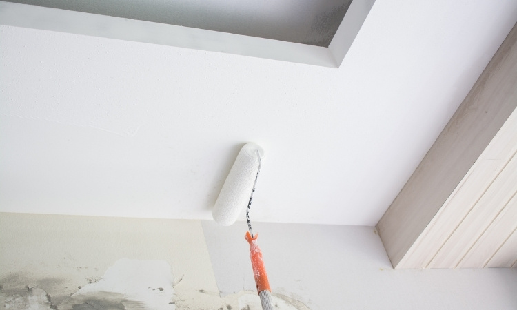 Plaster Walls Painting