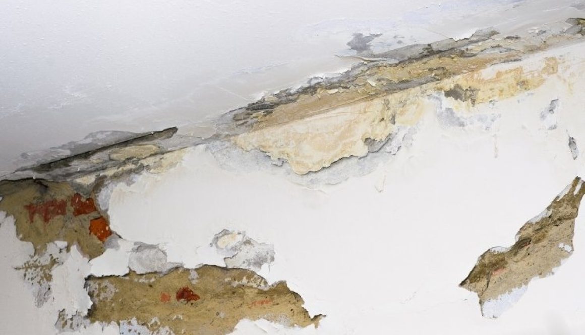 Commercial Paint Problems