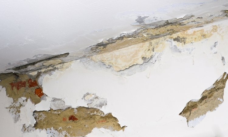 Commercial Paint Problems