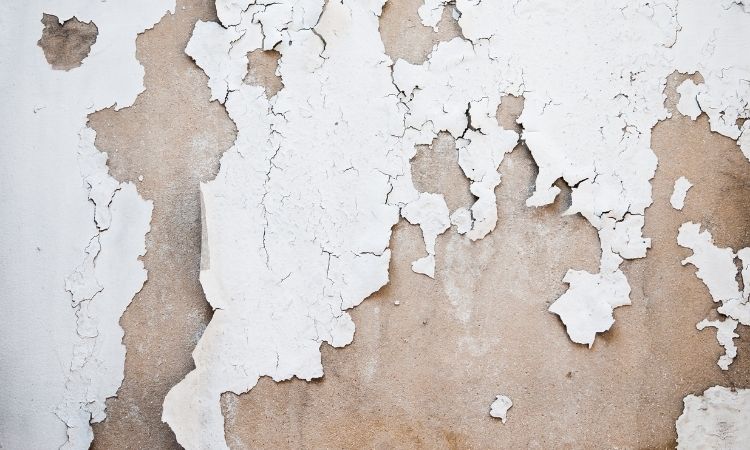 Common Commercial Paint Problems
