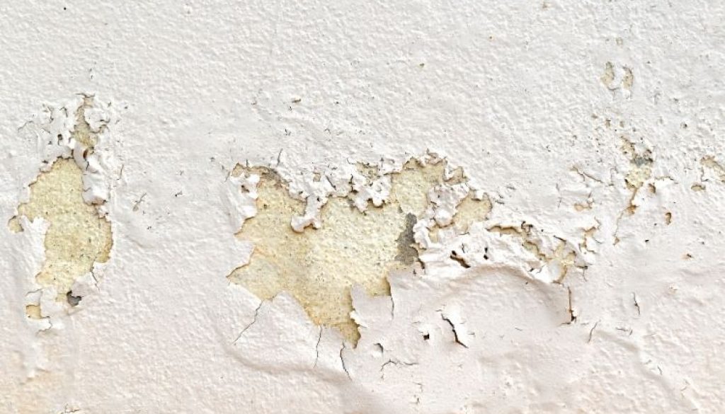 Paint Peeling on Walls