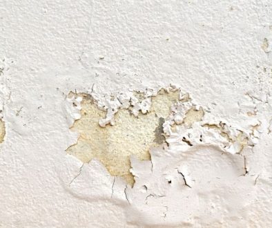 Paint Peeling on Walls