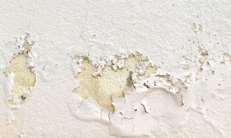 Paint Peeling on Walls