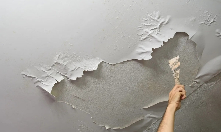 Paint Bubbling on walls